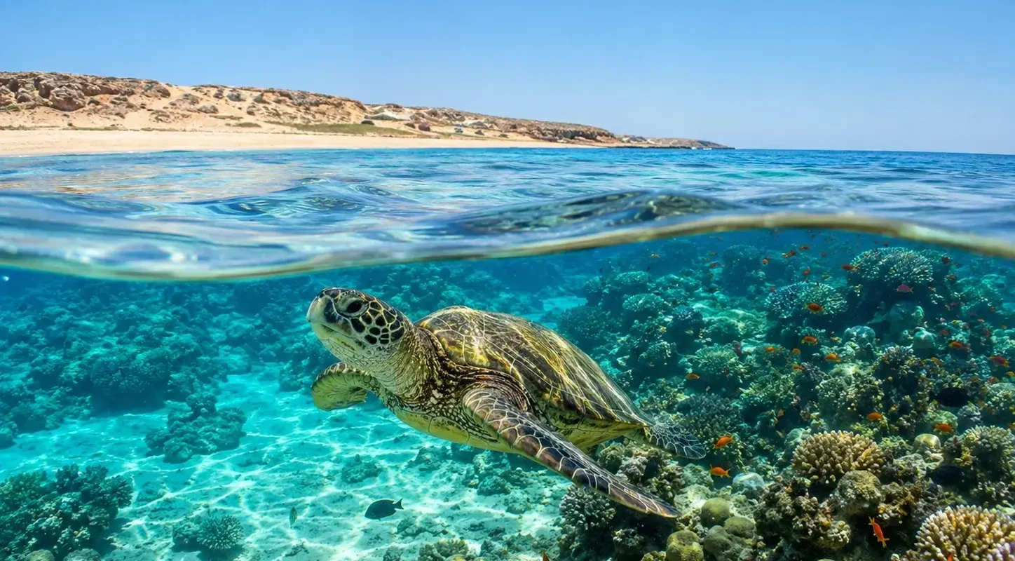 Marsa Alam